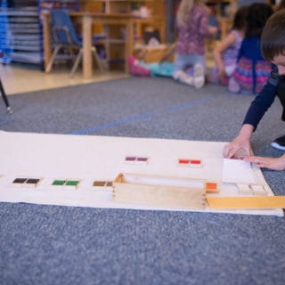 Montessori Senses - Visual Discrimination