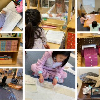 lower elementary montessori students completing work with montessori materials in a peaceful classroom