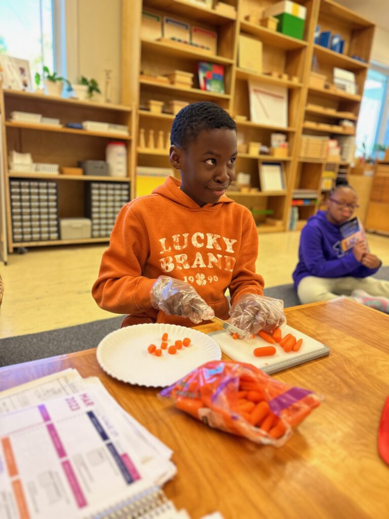 6th grade student cuts carrots for Pi day lunch at Chesapeake Montessori School