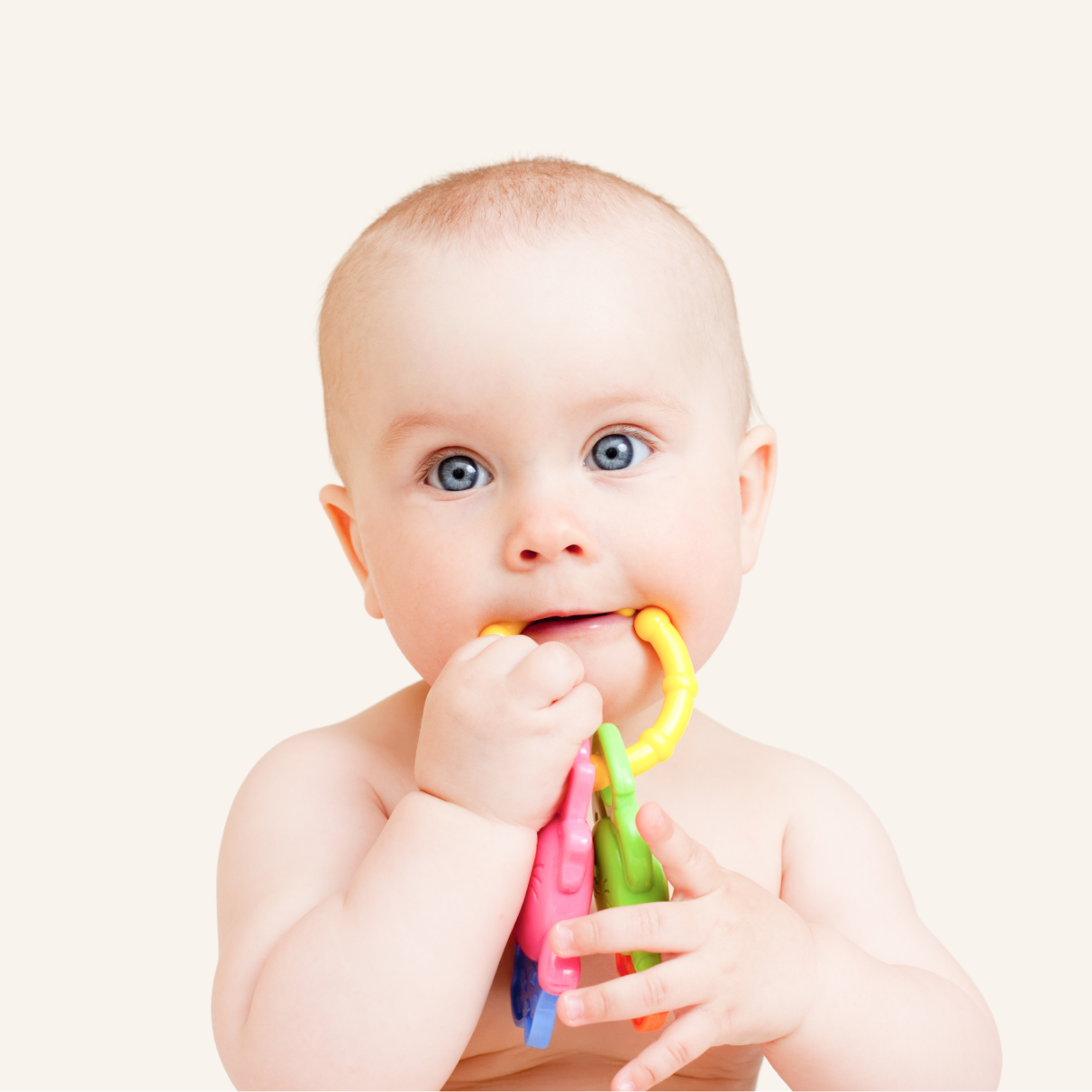 An infant holding a toy.