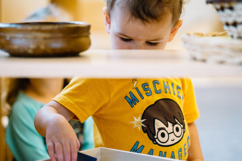 A young child looking at a shelf.